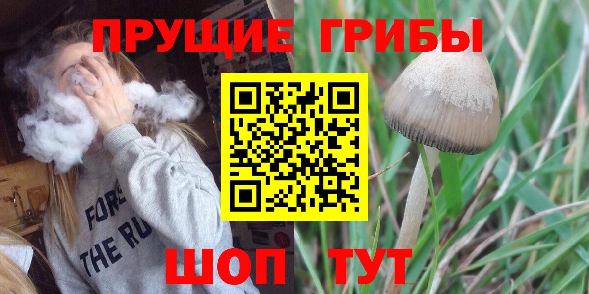Псилоцибиновые грибы Psilocybe  Вход с VPN  Тейково  Псилоцибиновые грибы Magic Shrooms 